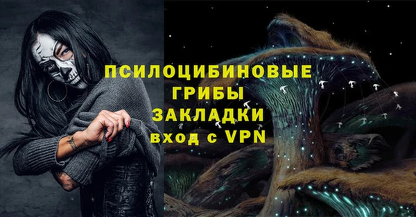 героин Алексин