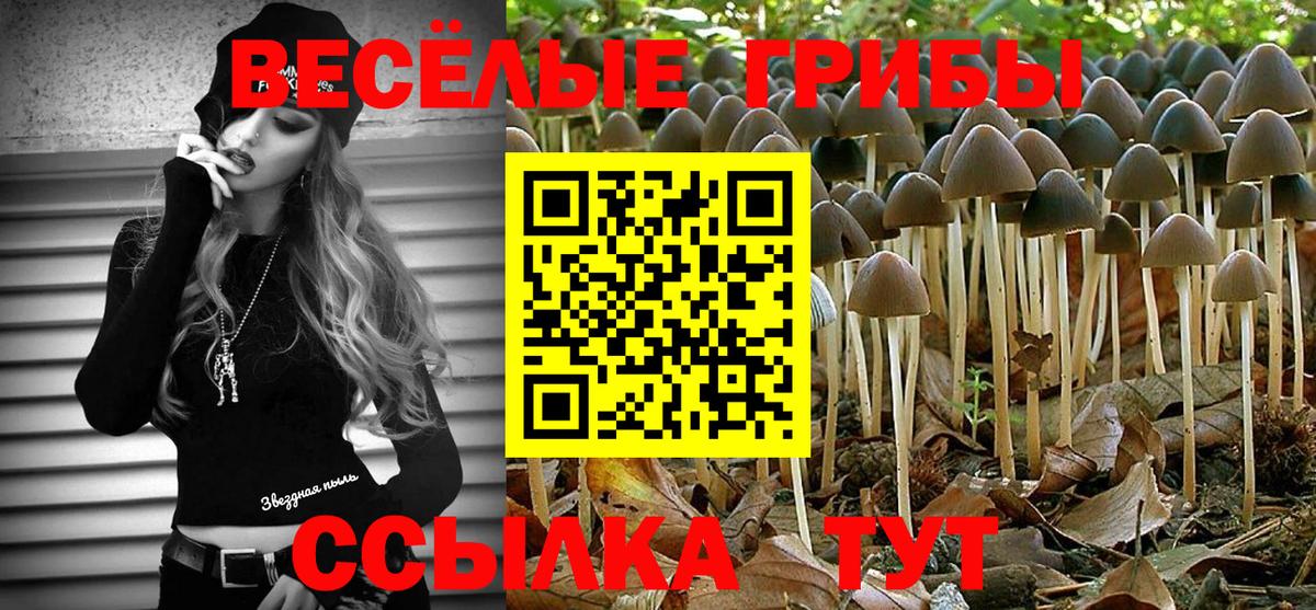 Нижневартовск  Псилоцибиновые грибы мицелий  Вход с VPN 