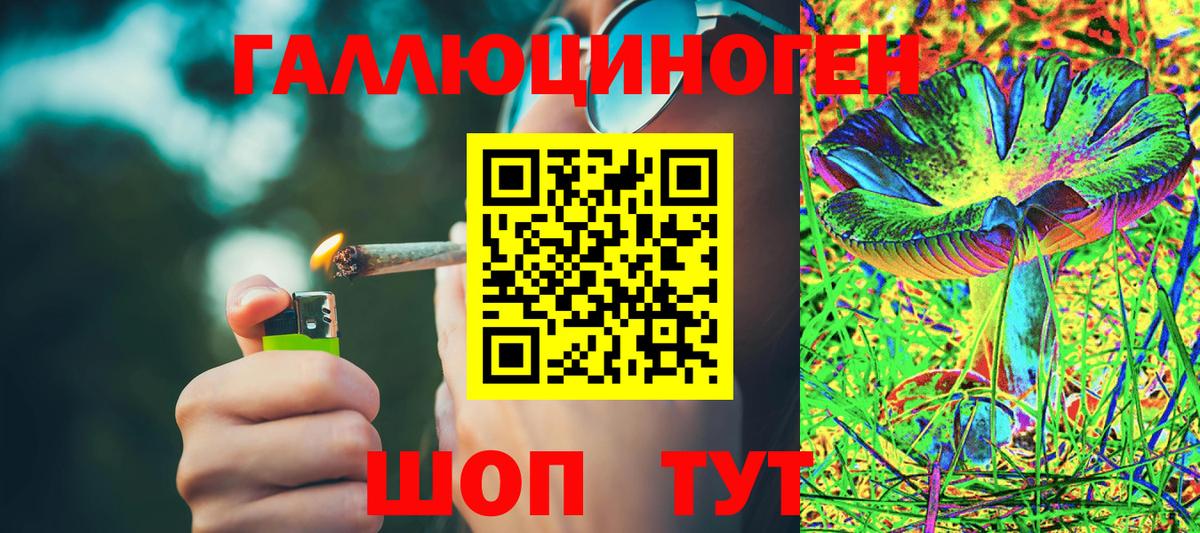 Галлюциногенные грибы Psilocybe Нижневартовск